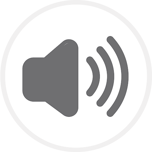 Sesli Uyarı Sistemi